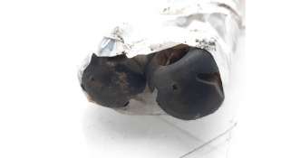 AMORTIGUADORES MALETERO / PORTON FIAT SEDICI (2006-2011) 1.9 D MULTIJET 120CV 1910CC - L. 5533969 / 0071743352 2